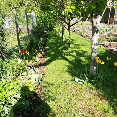 Apartment Sopar Шкоф'я-Лока Екстер'єр фото